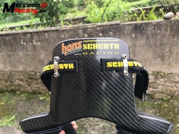 Hans carbono y mono alpinestar