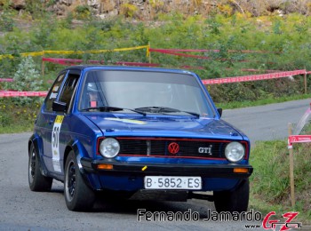 Vw golf gti mk1 rallye