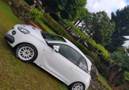 Despiece adam cup r2