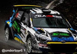 Hyundai i20 r5 #51