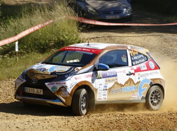 Venta o alquiler toyota aygo tierra