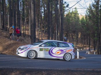 Civic type r tope grupo n