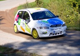 Fiat punto copa