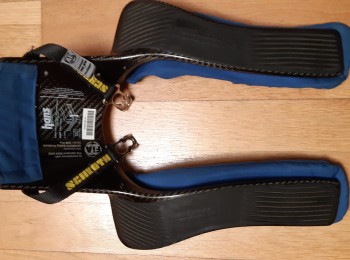 Hans de carbono schrtoth.