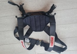 Hans hybrid pro carbono simpson