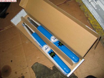 Amotiguadores selex para citroen ax.