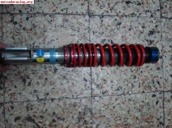 Bilstein pss9 para clio williams