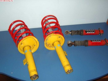 Suspension bilstein sport peugeot 206 170 euros