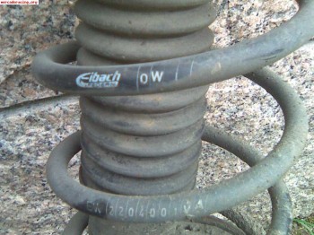 Muelles eibach para saxo