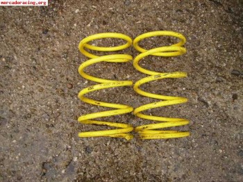 Muelles apex saxo/106