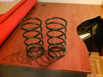 Muelles eibach saxo,106, ax, impecables!!