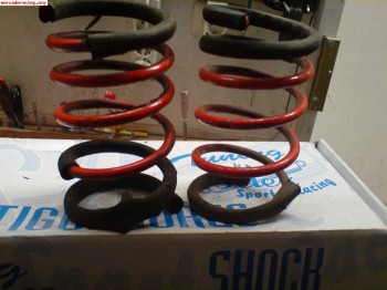 Muelles para megane coupe