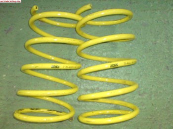 Muelles apex y amortiguadores traseros cobra