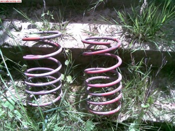 Muelles para 206 selex rojos 30 euros