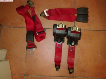 Cinturones traseros rojos