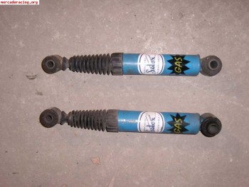 Selex azules traseros de 106/saxo/ax 50 euros 