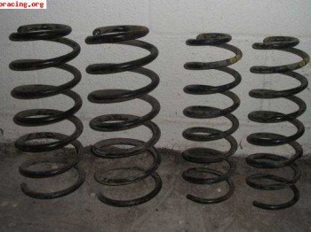 Muelles originales seat leon tdi 2001