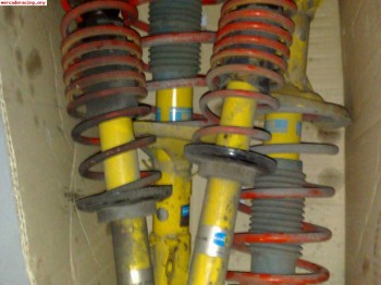 Suspension blistein con sp para seat ibiza /cordoba 00