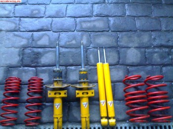 Koni sport regulables   muelles selex ibiza a partir 2003 