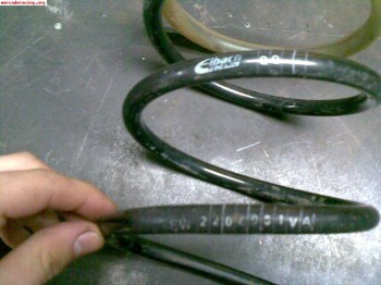 Muelles eibach saxo/106