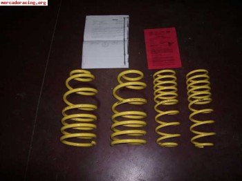 Muelles apex polo/ibiza