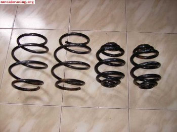 Muelles eibach bmw e46