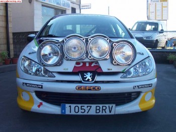 Vendo parrilla faros de 206