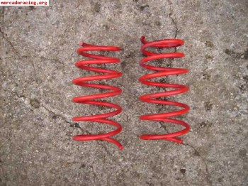 Muelles selex megane coupé