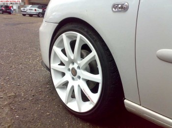 Muelles cobra -6cm homologados para ibiza 6l