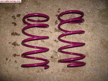 Muelles vogtland xsara, zx, 306