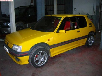 Aleron, bigote y laterales peugeot 205 gti