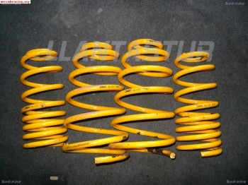 Muelles selex fiat punto