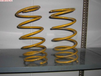 Muelles selex saxo-106