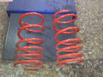 Muelles cobra para 206 gti