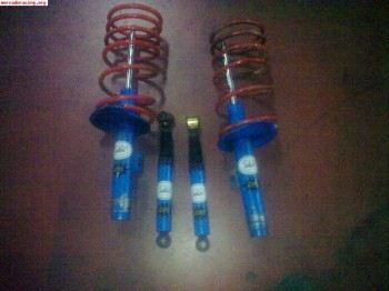 Suspensiones selex sport y muelles selex para xsara, 306 y z