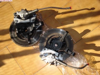 Manguetas de clio ragnotti