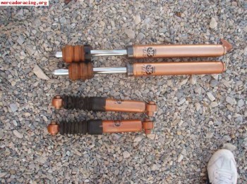 Kayaba ultra sr traseras para saxo o 106.