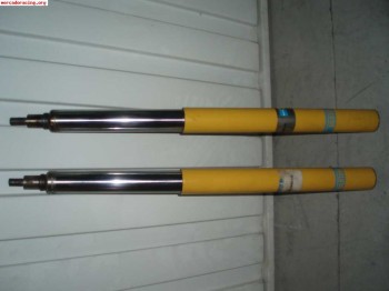 Suspension blistein gr n saxo,106,ax