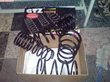 Muelles gtz -3.5cm focus mki