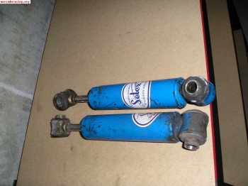 Vendo selex azules saxo 50 euros envio incluido