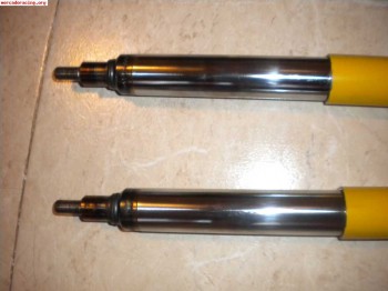 Suspension blistein bastago gordo,106 saxo