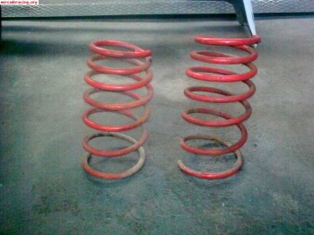 Muelles megane fase i