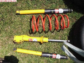 Amortiguacion reanult 19