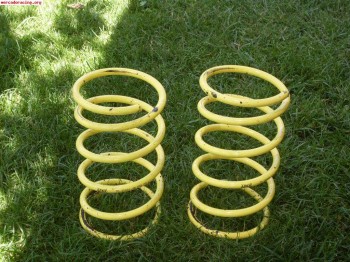 Muelles apex para 106 o saxo