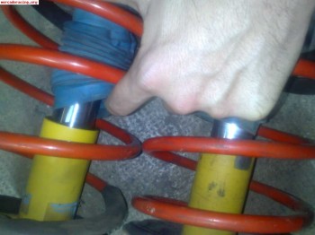 Vendo bilstein bastago gordo para 205