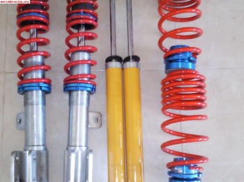 Suspension roscada psa