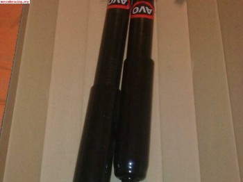 Amortiguadores traseros avo cosworth 4x4