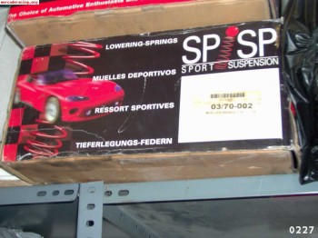 Vendo muelles sp  renault 19 (no 16v)