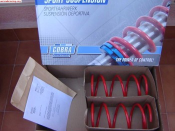 Muelles cobra -3cm para saxo vtsn  nuevos