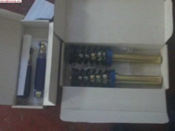 Suspension gaz regulable para saxo o 106